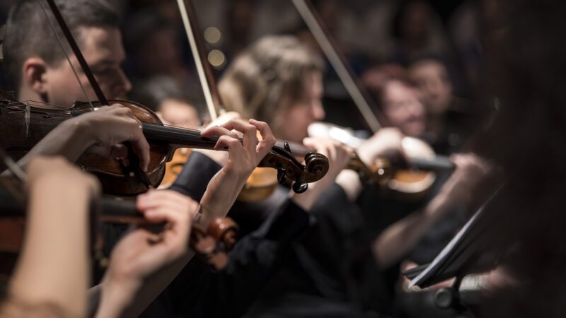 Finlandia: musica classica per allontanare i giovani dalle spiagge